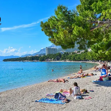 Mate * Makarska